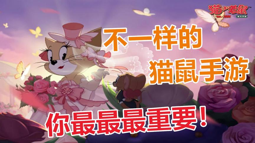 猫和老鼠：不一样的猫鼠手游，你最最最重要！