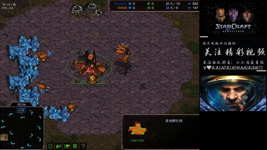 星际争霸 感谢张建军点播 狭义人皇vs假解冻 双线真的太强了。