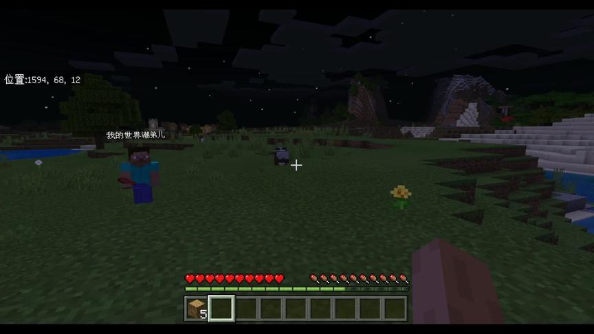 你会支持我的世界作者吗？支持的话请记得关注一下！#我的世界