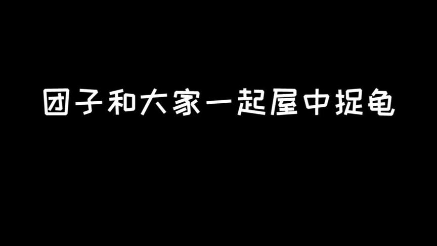 当大家都长一样的时候，该怎么抓到龟呢~