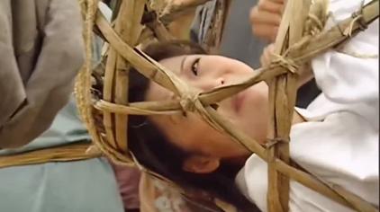 石美浸猪笼第7集 西瓜视频