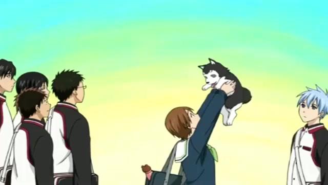 哲也二号黑子的生日 西瓜视频 哲也二号黑子的生日 西瓜视频