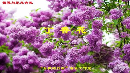 丁香花简谱教唱 西瓜视频