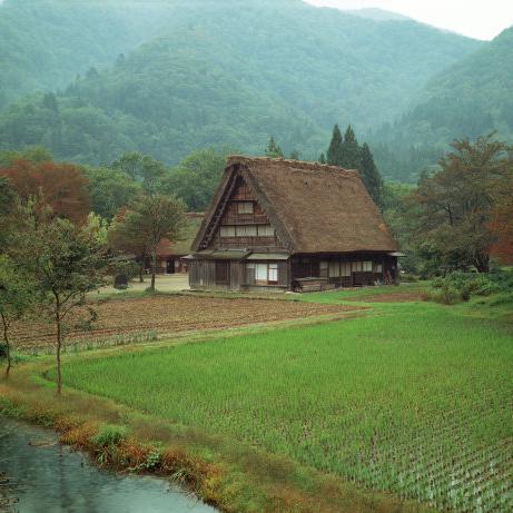 村里的味道头像