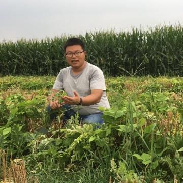 护田鹰种植能手头像