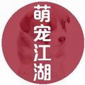 萌宠江湖 头像