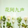 花间九声1 头像